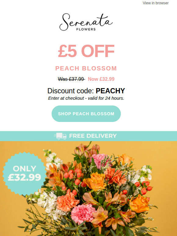 ⚡ 24h Flash Sale - Peach Blossom 🍑