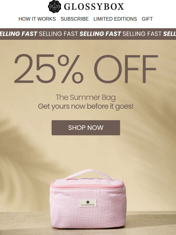 QUICK! 25% Off the Summer Bag 🏃‍♀️