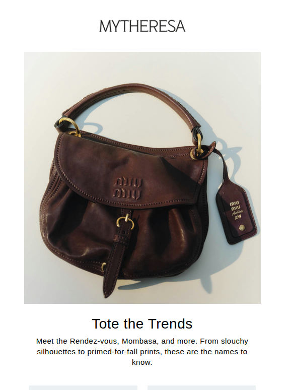 Fall's best bags from Miu Miu and more