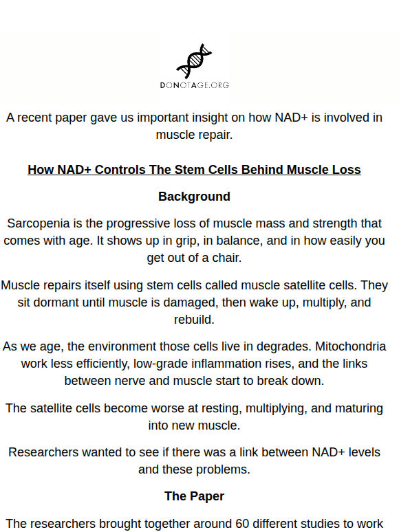 New Research: How NAD+ Helps Cells Rebuild Muscle