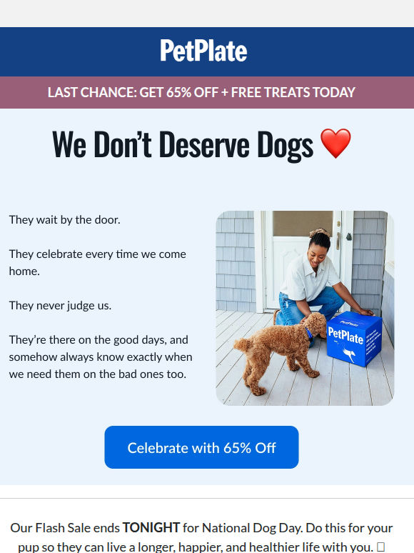 Last Chance to Spoil Your Dog with 65% Off