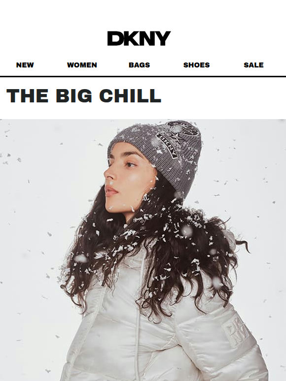 In Case of Snow Days