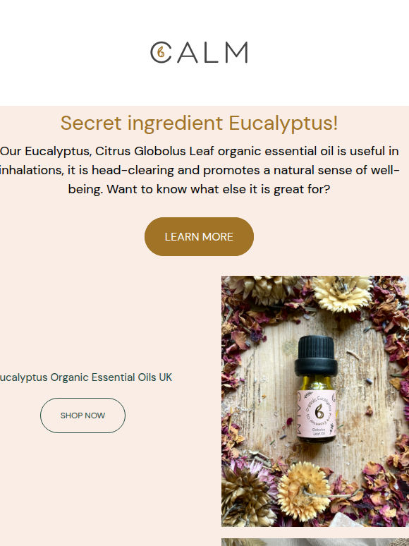 🌿 Whats in Vicks Vapour rub?