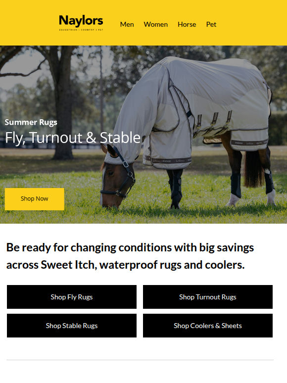 Summer Rugs | Fly, Turnout & Stable