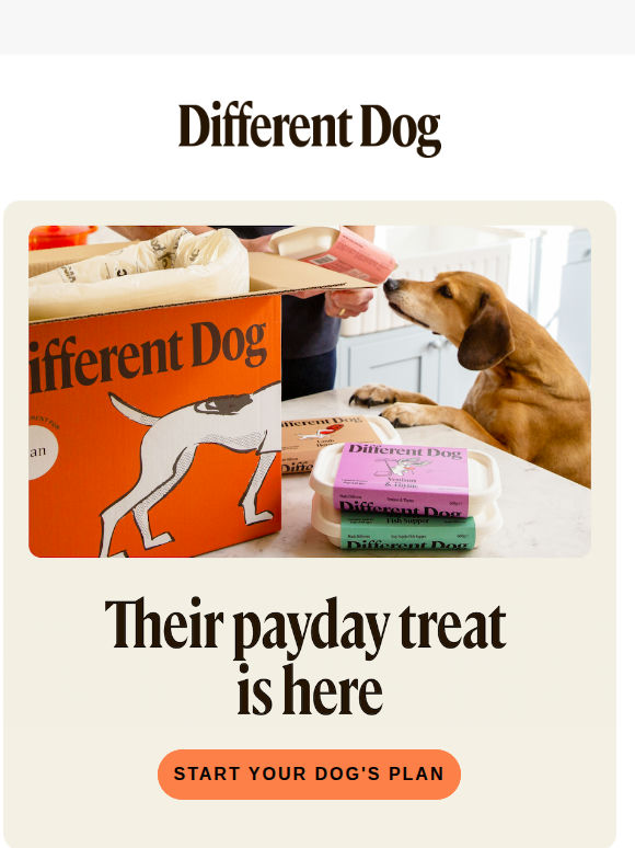 your dog's payday treat is here 🐶