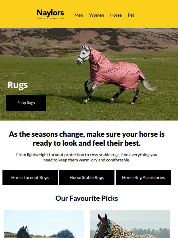 Turnout Rugs | Get Ready for Autumn