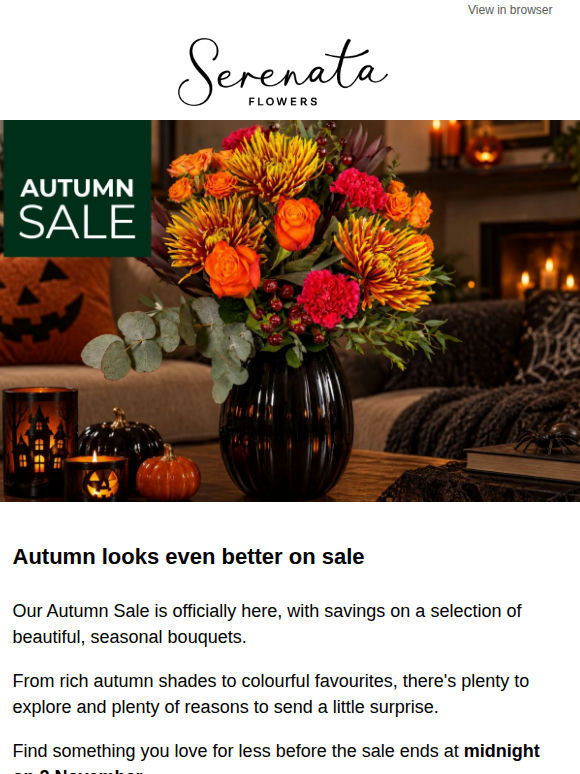 🍂 Our Autumn Sale has arrived!