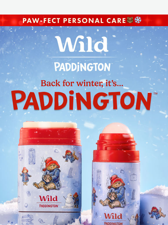 Paddington is back for Winter...
