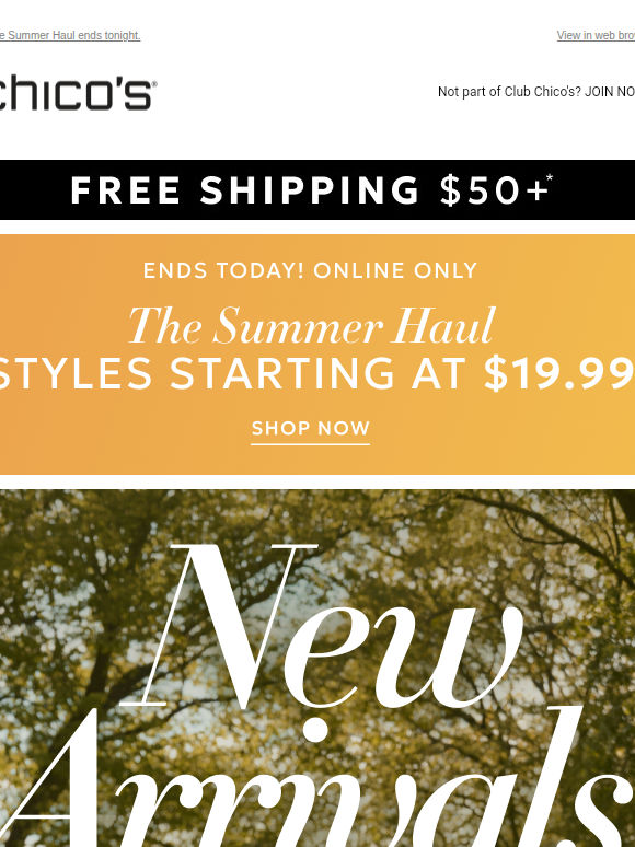 The City Calls: New Arrivals Are Here