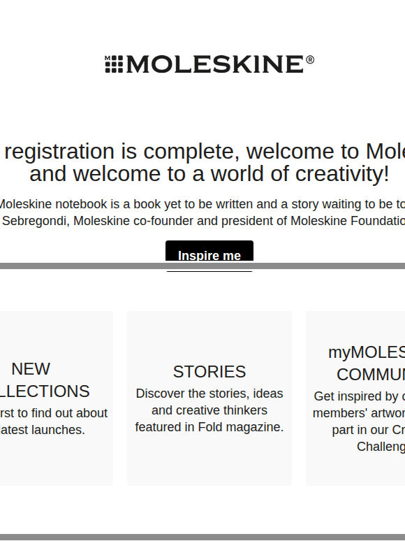 Welcome to Moleskine