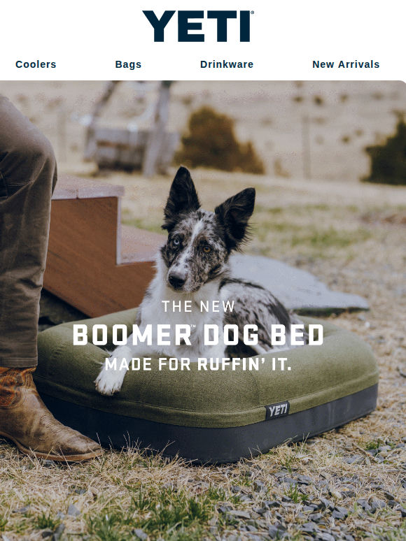 Meet The New Boomer™ Dog Bed
