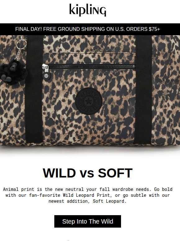 Step Into The Wild Side🐆🤎