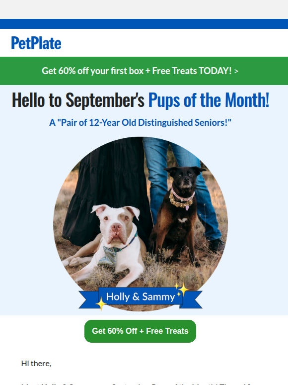 Hello to Our September POTM + 60% Off 💙