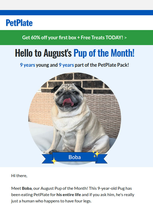 Hello to Our August POTM + 60% Off 💙