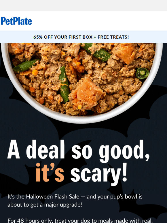 Halloween Flash Sale! 🎃 Get 65% Off + Free Treats!