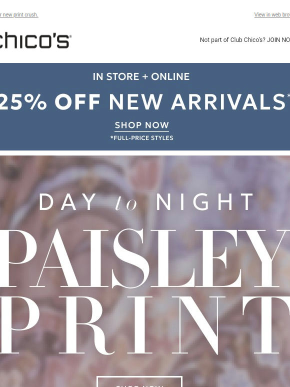 Paisley Pattern Play + 25% off!